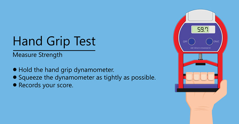 Strength Isometric Test: Wrist Grip Strength