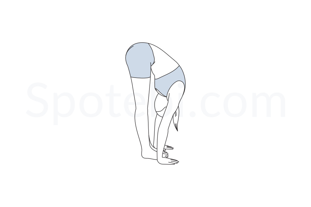 Standing forward bend exercise illustration