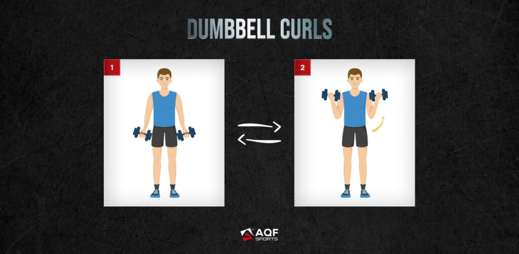 Dumbbell Curls Workout