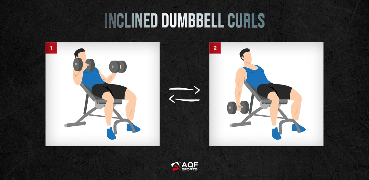 Incline Dumbbell Curls