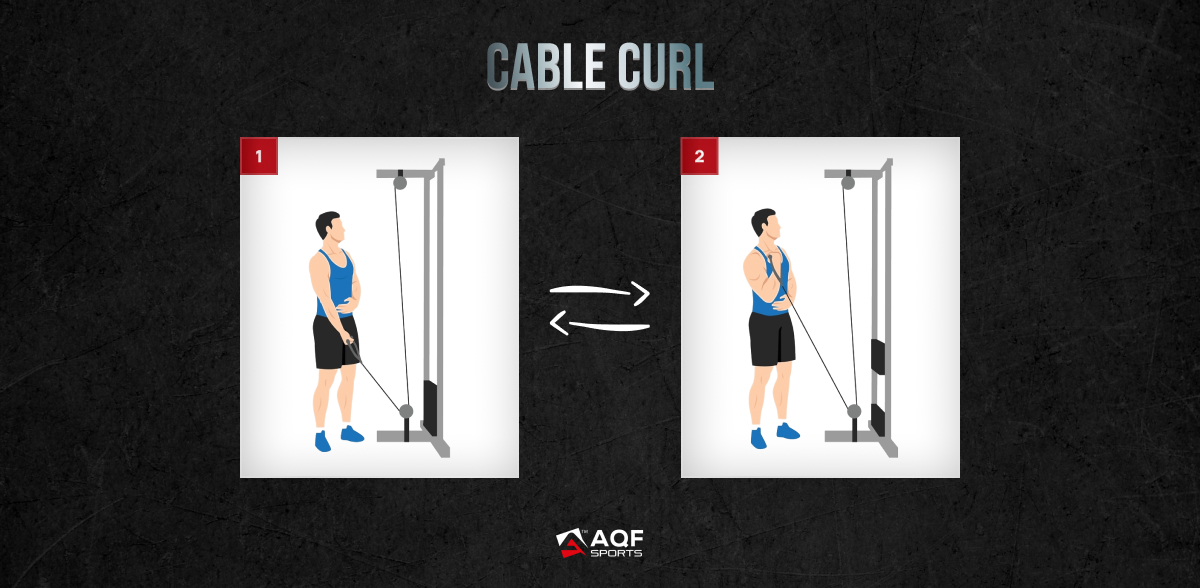 Cable Curl Exercise