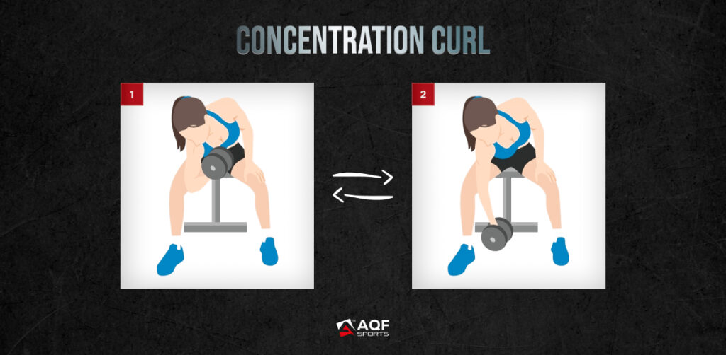 Concentration Curl Exercise