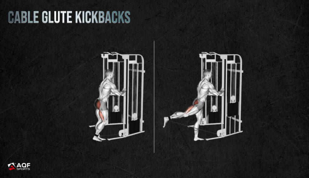 Cable Glute Kickbacks - Affected Muscles Illustration
