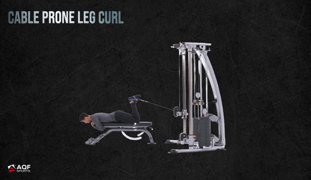 Cable Prone Leg Curl - Positioning - Made with AI