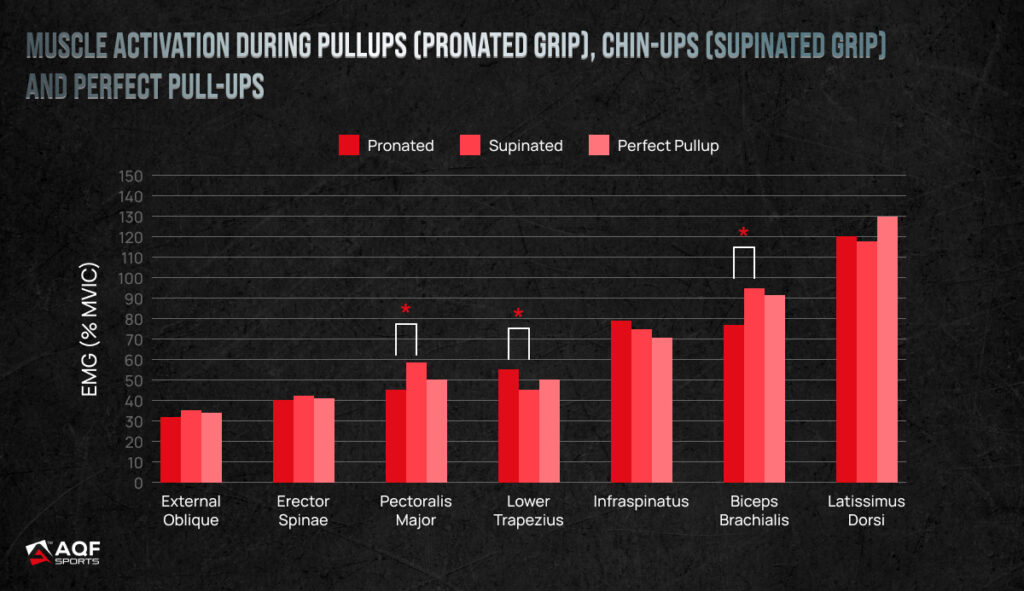 Muscle Activation During Pullups (Pronated Grip), Chin-ups (Supinated Grip) and Perfect Pull-ups