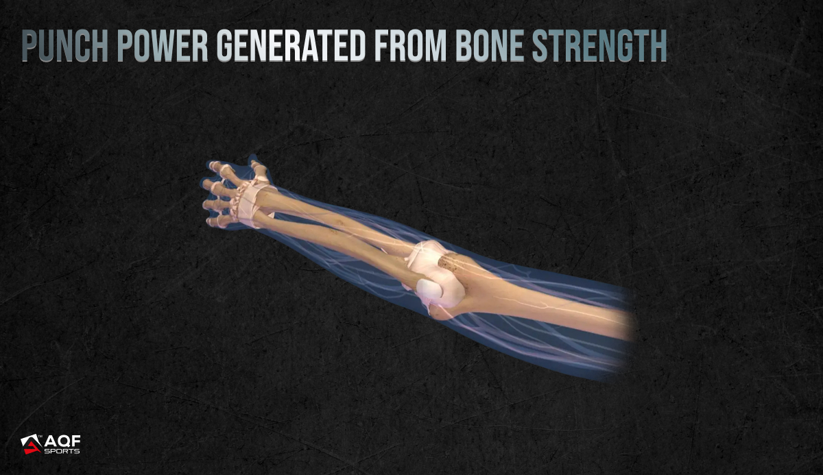 Punch generated bone strength
