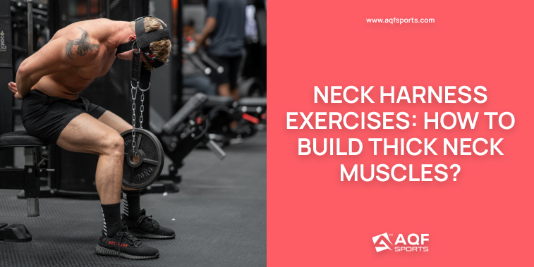 Neck Harness Exercises: How to Build Thick Neck Muscles?