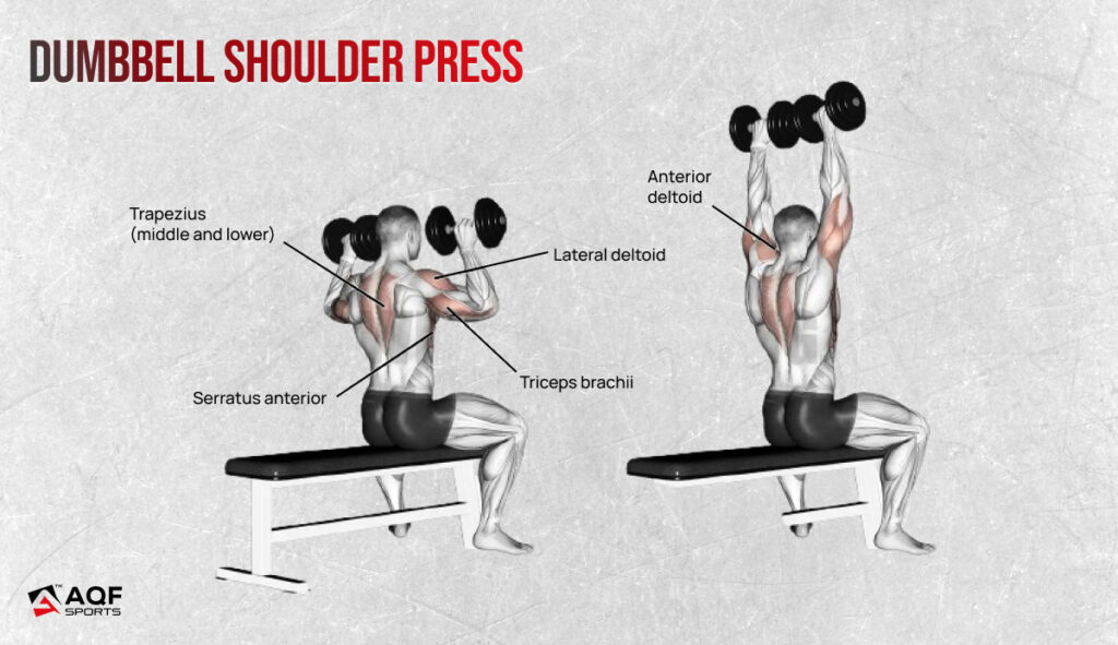 Dumbbell Shoulder Press