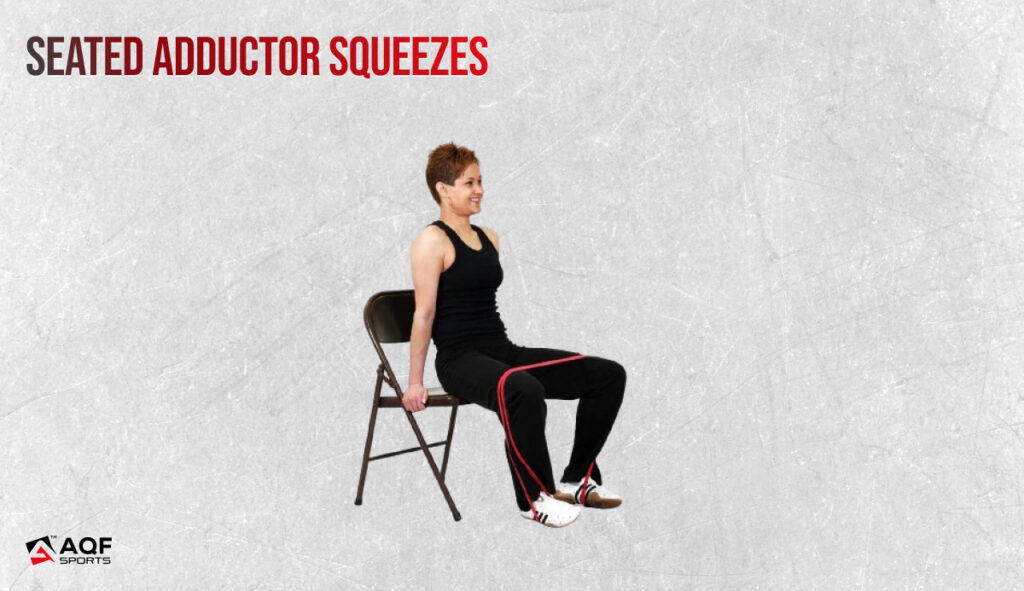 Seated Adductor Squeezes