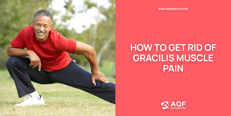 gracilis muscle pain